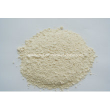 Garlic Powder 80-120 Mesh